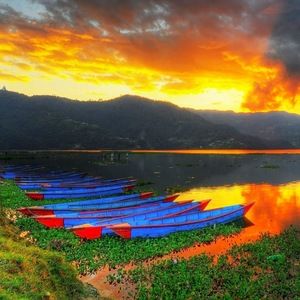 Meet your Posher, Grace